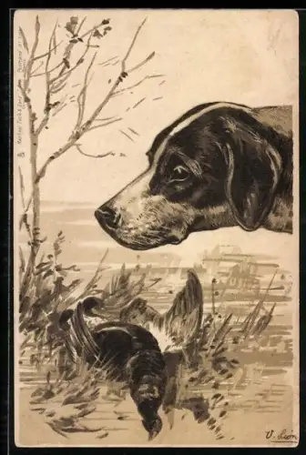 AK Jagdhund mit geschossenem Rebhuhn