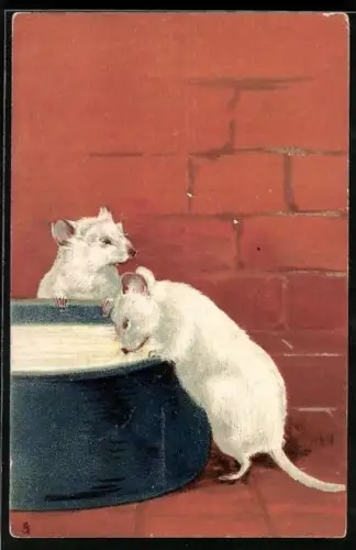 AK Mäuse trinken Milch aus einer Schale