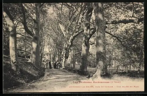 AK Audinac-les-Bains près St-Girons, Les Pyrénées Ariégeoises, Une Allée du Parc