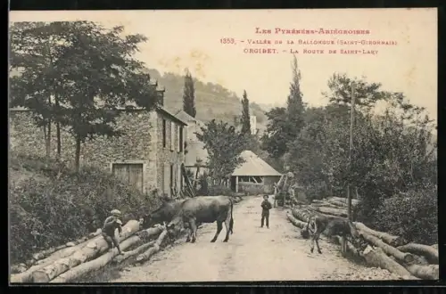 AK Orgibet /Vallée de la Ballongue, Les Pyrénées Ariégeoises, La Route de Saint-Lary