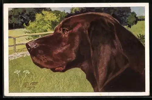 Künstler-AK Brauner Labrador auf einer Weide