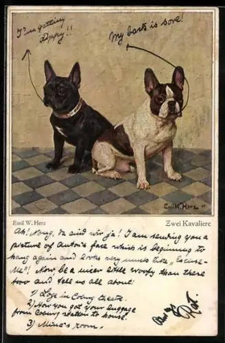Künstler-AK Emil W. Herz: Zwei Kavaliere, zwei französische Bulldoggen