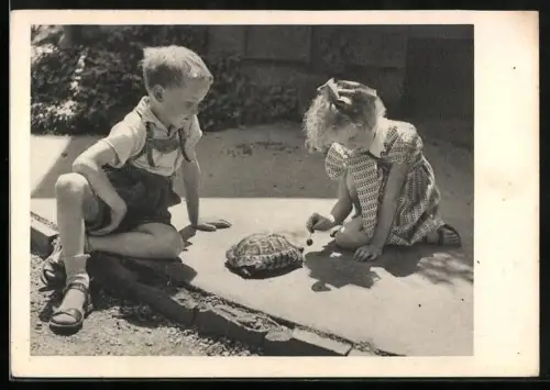 AK Zwei Kinder füttern eine Schildkröte mit einer Kirsche