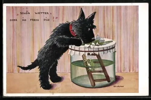 Künstler-AK Schön Wetter oder ich fress Dich!, Hund am Glas mit Wetterfrosch