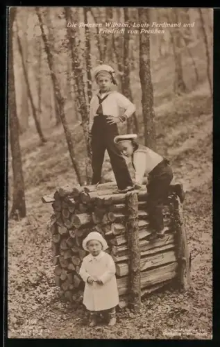 AK Prinzen Wilhelm, Louis Ferdinand und Friedrich von Preussen