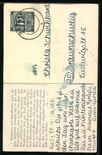 Künstler-AK sign. G. Hinke: Brüder Grimm - Brüderchen und Schwesterchen