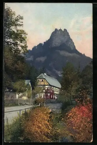Künstler-AK Photochromie Nr. 2499: Partie am Sperlingstein