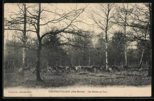 AK Chateauvillain /Hte-Marne, Les Daims au Parc