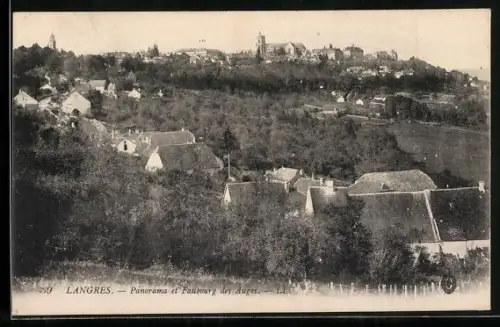 AK Langres, Panorama du Faubourg des Auges