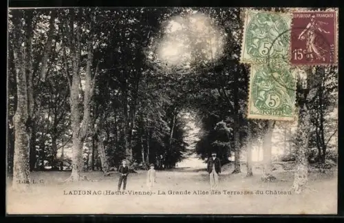 AK Ladignac /Haute-Vienne, La Grande Allée des Terrasses du Château