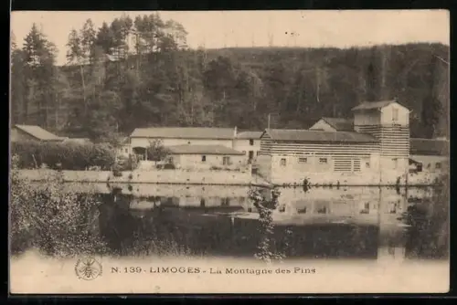 AK Limoges, La Montagne des Pins