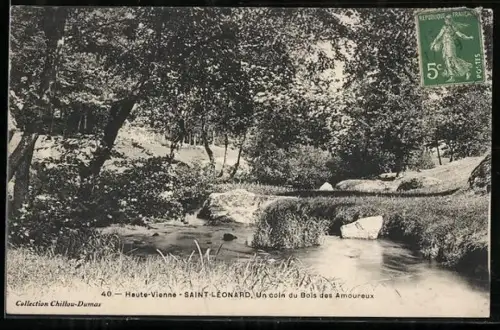 AK Saint-Léonard /Haute-Vienne, Un coin du Bois des Amoureux