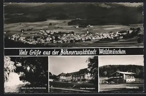 AK Waldmünchen, Motiv an der Teufelsbrücke, Heim Herzogau