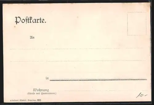 AK Dresden-Neustadt, Blick auf den Albertplatz