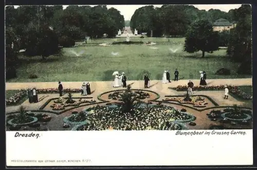 AK Dresden, Blumenbeet im Grossen Garten