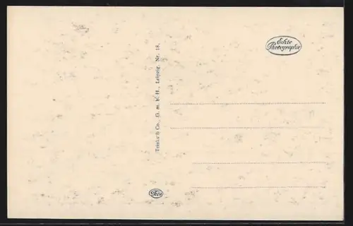 AK Paderborn, Rathaus