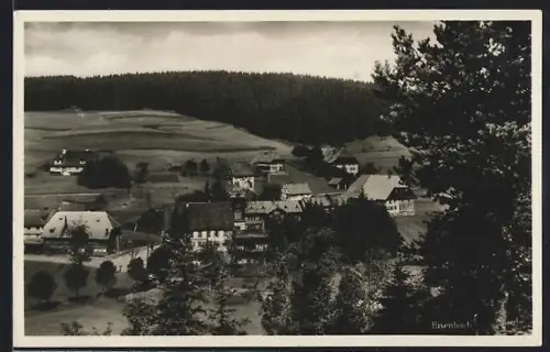 AK Bad Eisenbach b. Neustadt, Teilansicht