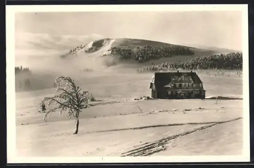 AK Bernau / Schwarzwald, Morgenstimmung am Herzogenhorngasthaus