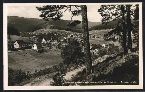 AK Enzklösterle b. Wildbad, Teilansicht