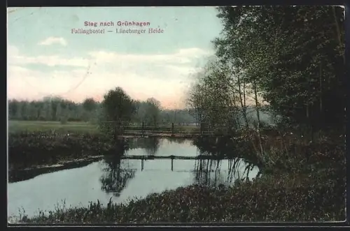 AK Fallingbostel /Lüneburger Heide, Steg nach Grünhagen