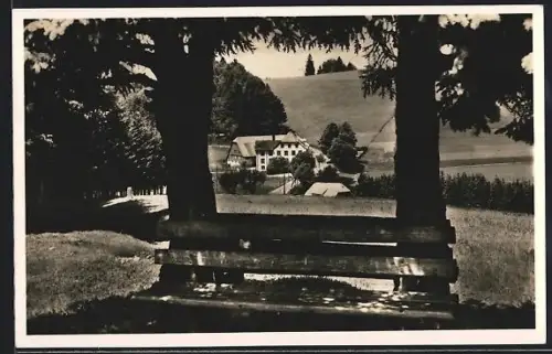 AK Neuhäusle, Gasthaus und Pension zur Sonne