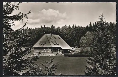 AK Furtwangen, Höhengasthaus und Pension Martinskapelle L. Kern