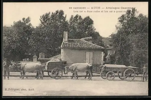 AK Auch, Attelages gascons avec char à deux roues et char à quatre roues