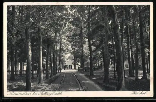 AK Bommelsen bei Fallingbostel, Weg zum Heidehof