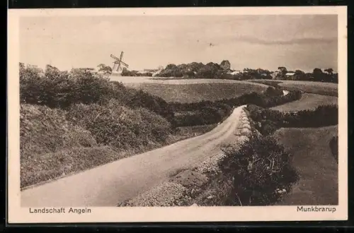 AK Angeln, Feldweg mit Windmühle