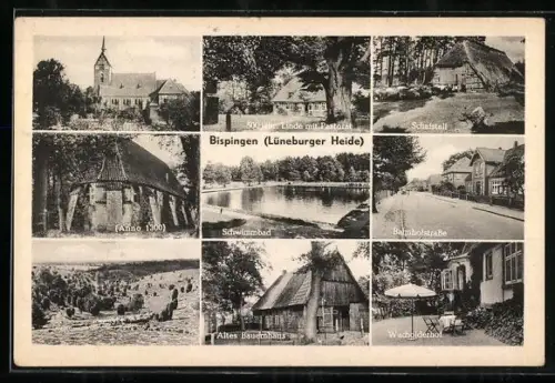 AK Bispingen (Lüneburger Heide), Ortsansichten, Schafstall, Schwimmbad, altes Bauernhof