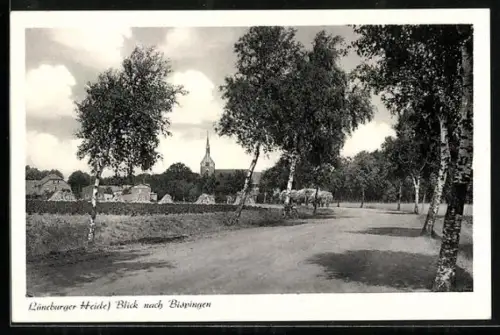 AK Bispingen /Lüneburger Heide, Blick nach dem Ort mit Kirche