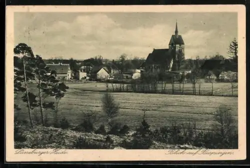 AK Bispingen /Lüneburger Heide, Blick auf den Ort mit Kirche