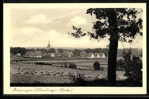AK Bispingen /Lüneburger Heide, Teilansicht mit Kapelle