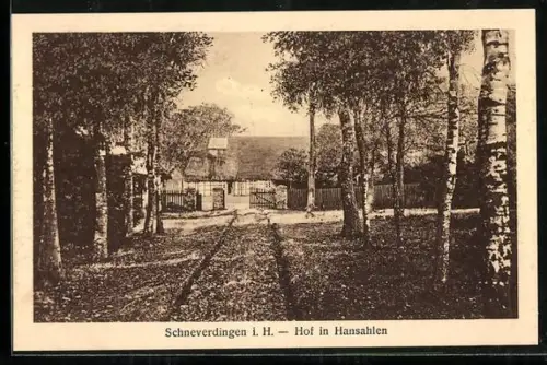AK Schneverdingen i. H., Hof in Hansahlen