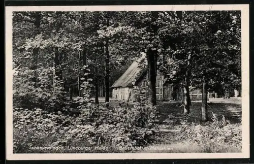 AK Schneverdingen /Lüneburger Heide, Bauernhof in Hansahlen