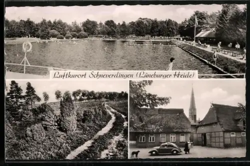 AK Schneverdingen /Lüneburger Heide, Schwimmbad, Strassenpartie mit VW Käfer und Hund