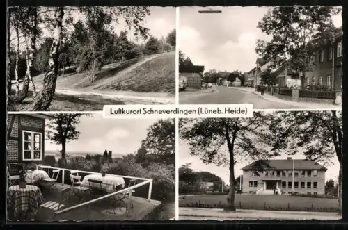 AK Schneverdingen /Lüneb. Heide, Strassenpartie, Partie mit Birken