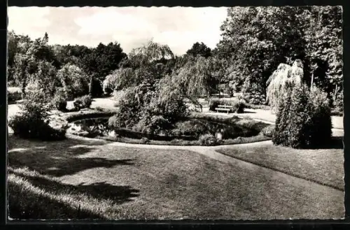 AK Dorfmark /Lüneburger Heide, Partie im Bürgerpark