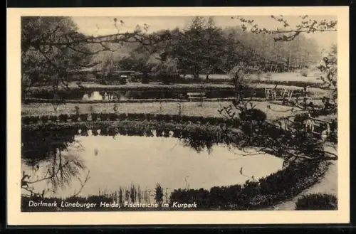 AK Dorfmark /Lüneburger Heide, Fischteiche im Kurpark