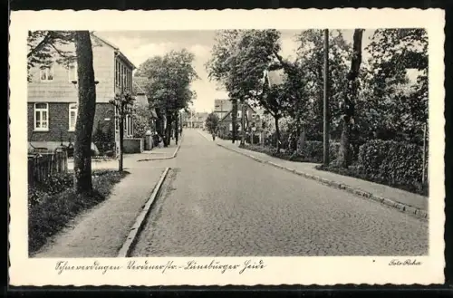 AK Schneverdingen /Lüneburger Heide, Verdener Strasse