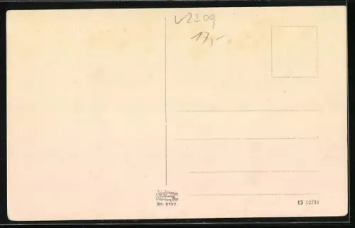 AK Selent i. Holst., Blick zur Kirche