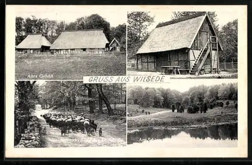 AK Wilsede, Altes Gehöft, Alter Speicher, Heidschnucken auf der Dorfstrasse