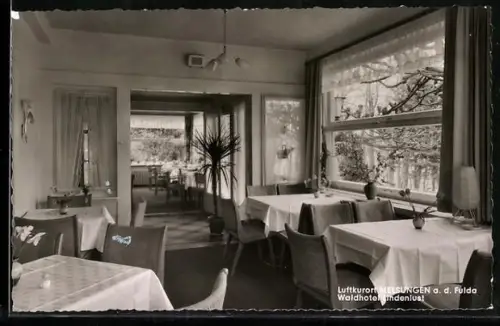 AK Melsungen a. d. Fulda, Hotel Lindenlust, Inh. A. Görs