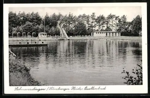AK Schneverdingen /Lüneburger Heide, Quellenbad am Waldrand