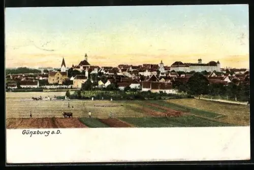 AK Günzburg a.D., Stadtansicht mit Feldern im Vordergrund