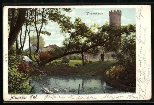AK Münster i. W., Kreuzschanze, Schwäne im Teich