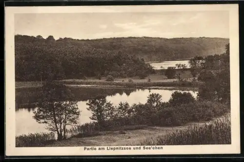AK Wandlitz, Partie am Liepnitzsee und See`chen