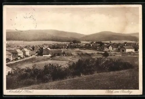 AK Münchehof /Harz, Blick vom Röseberg