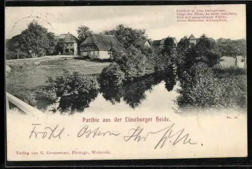 AK Dorfmark /Lüneburger Heide, Partie mit Bauernhäusern und Teich