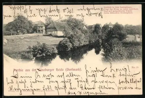 AK Dorfmark /Lüneburger Heide, Bauernhäuser und Teich